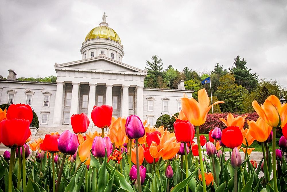 Vermont State Capitol in Montpelier with gold dome